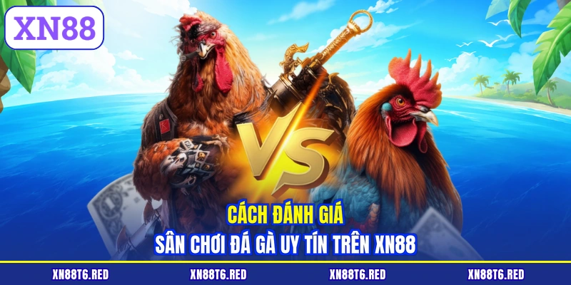 Cách đánh giá sân chơi đá gà uy tín trên XN88