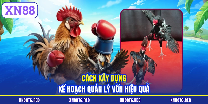 Cách xây dựng kế hoạch quản lý vốn hiệu quả