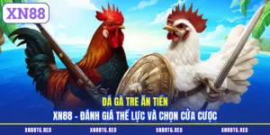 Đá Gà Tre Ăn Tiền XN88 - Đánh Giá Thể Lực Và Chọn Cửa Cược