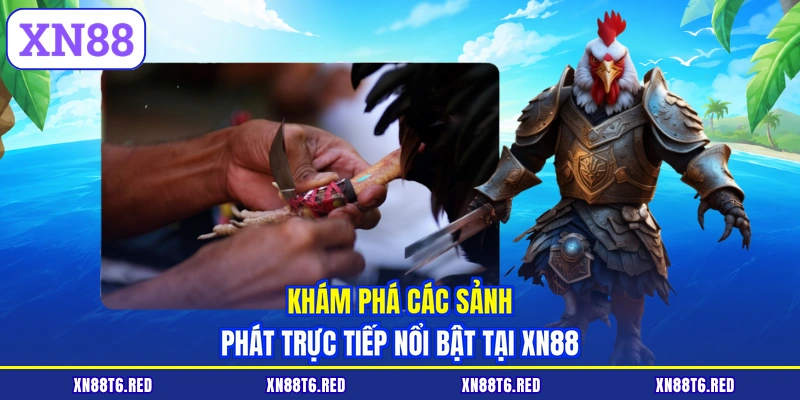 Khám phá các sảnh phát trực tiếp nổi bật tại XN88