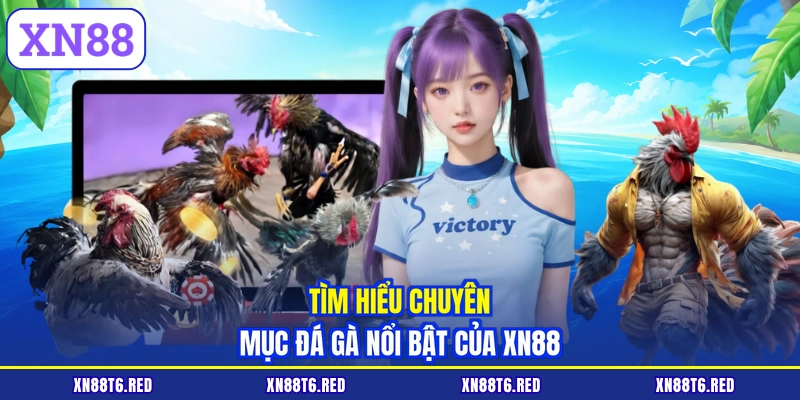Tìm hiểu chuyên mục đá gà nổi bật của XN88