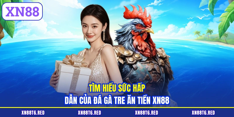 Tìm hiểu sức hấp dẫn của đá gà tre ăn tiền XN88